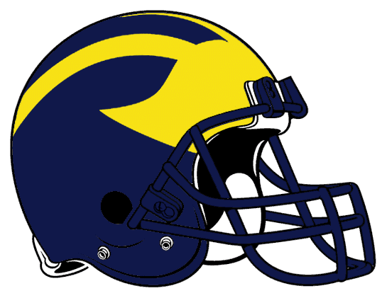 Delaware Blue Hens 1984-2003 Helmet Logo diy DTF decal sticker